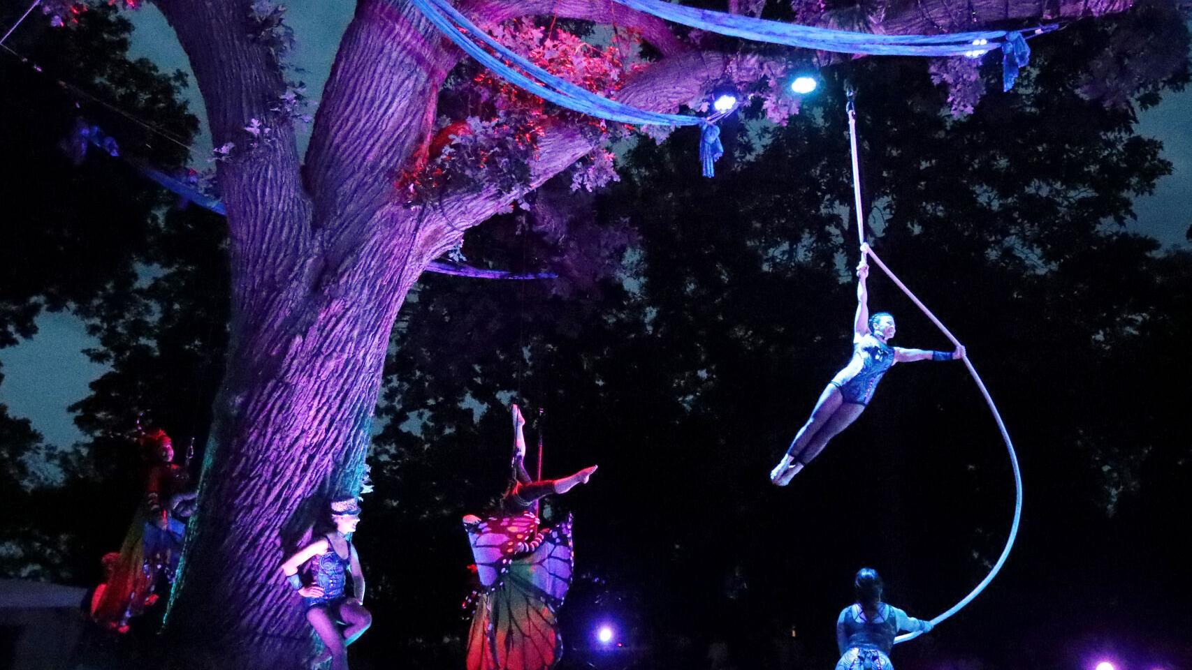 What makes you feel at home? Orton Park Festival project will put the idea into art